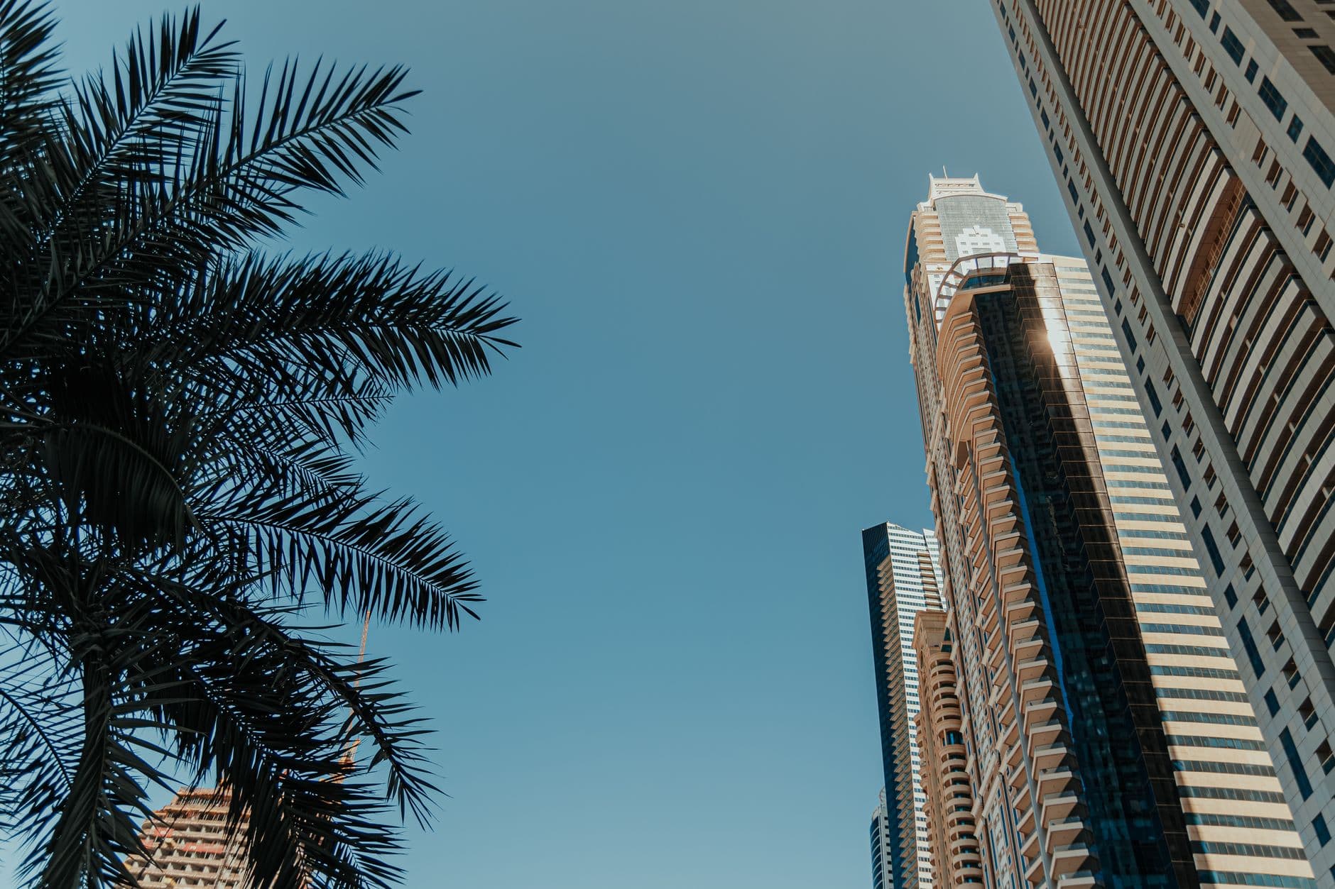 Stunning view of Dubai's futuristic skyline featuring modern skyscrapers with palm trees under a clear blue sky.